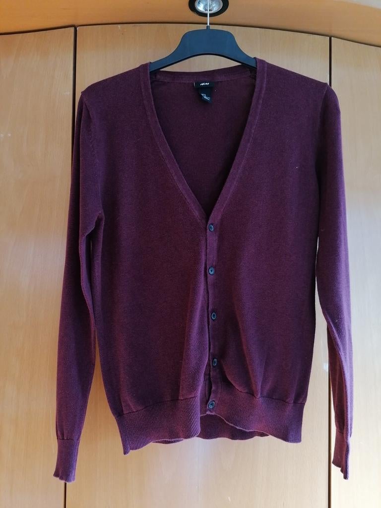 Trui met knopen, Vêtements | Hommes, Pulls & Vestes, Enlèvement ou Envoi, Autres couleurs, Porté, H&M
