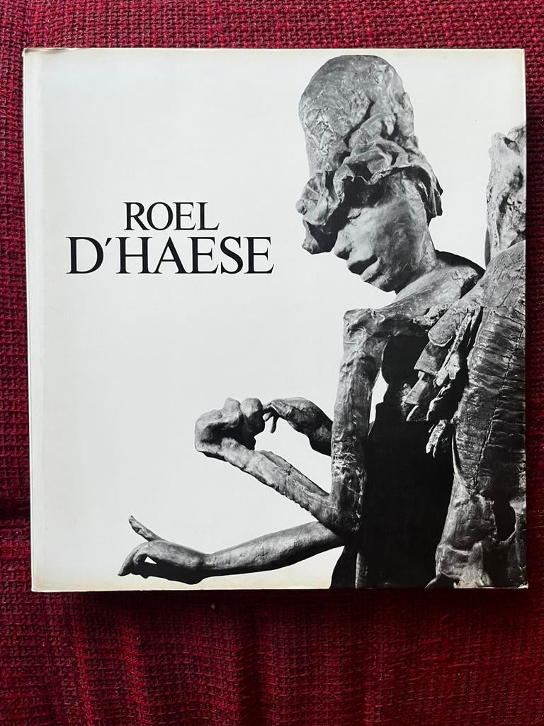 Boek kunst Roel D’Haese, Ophalen of Verzenden, Zo goed als nieuw, Beeldhouwkunst