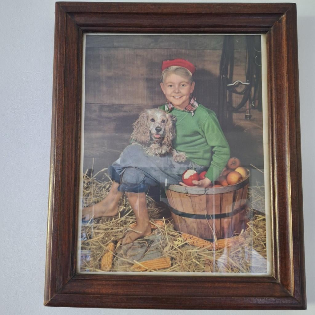 Kader met jongen en hond, Antiek en Kunst, Ophalen