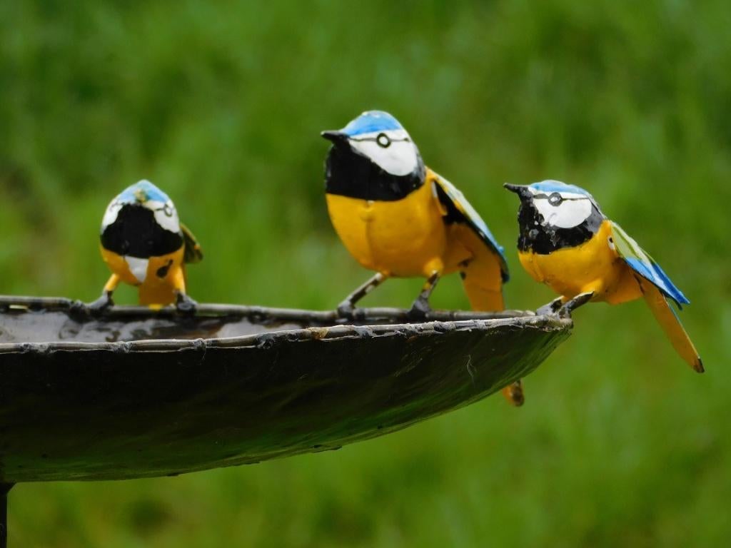 Vogelbad met 3 Vogeltjes - Tuinsteker - Metaal, Tuin en Terras, Tuinstekers, Ophalen of Verzenden