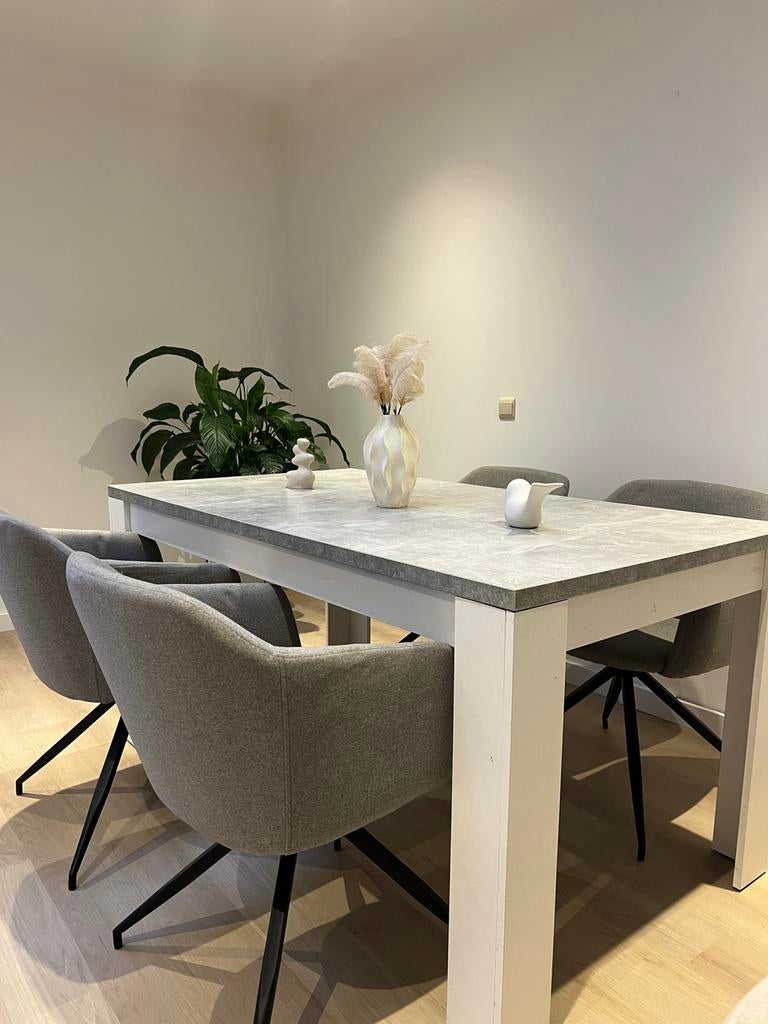 Eettafel met stoelen in BETONLOOK, Huis en Inrichting, Tafels | Eettafels, Ophalen of Verzenden, Zo goed als nieuw
