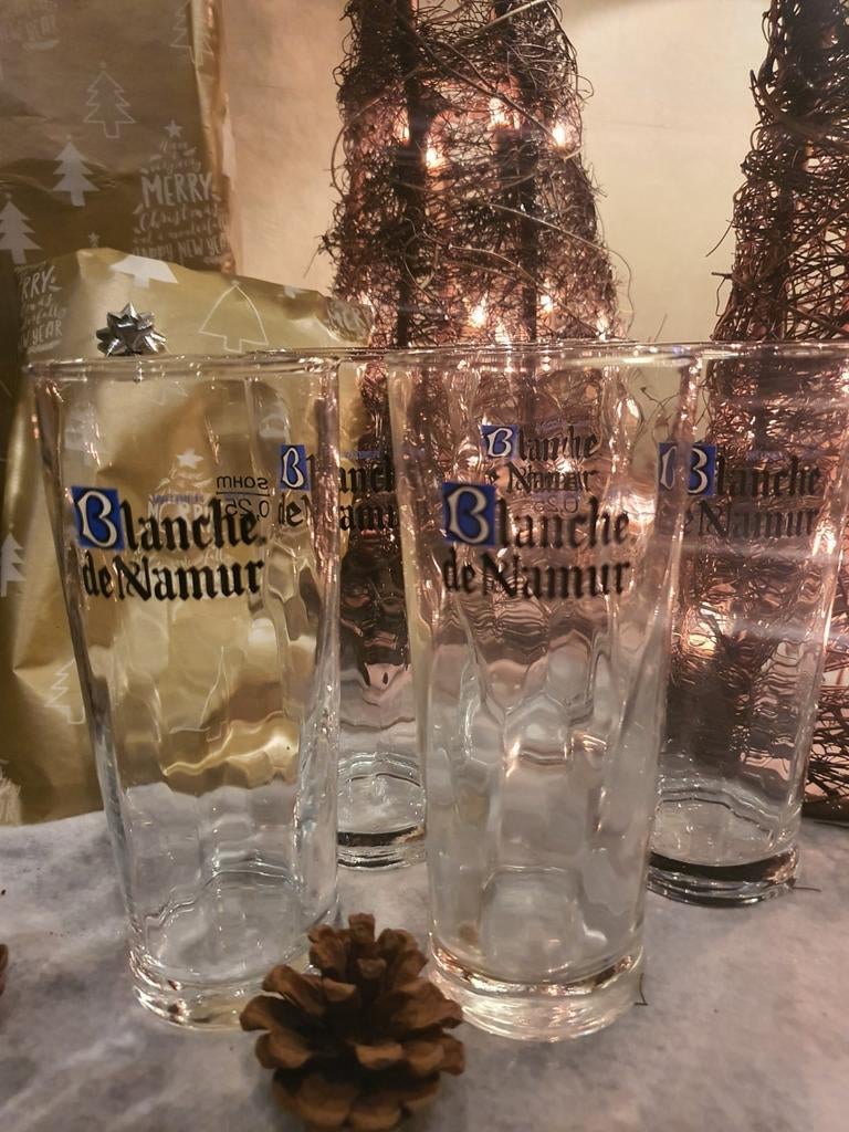 1 + 5 verres Blanche de Namur 25cl, Collections, Marques de bière, Comme neuf, Jupiler, Enlèvement