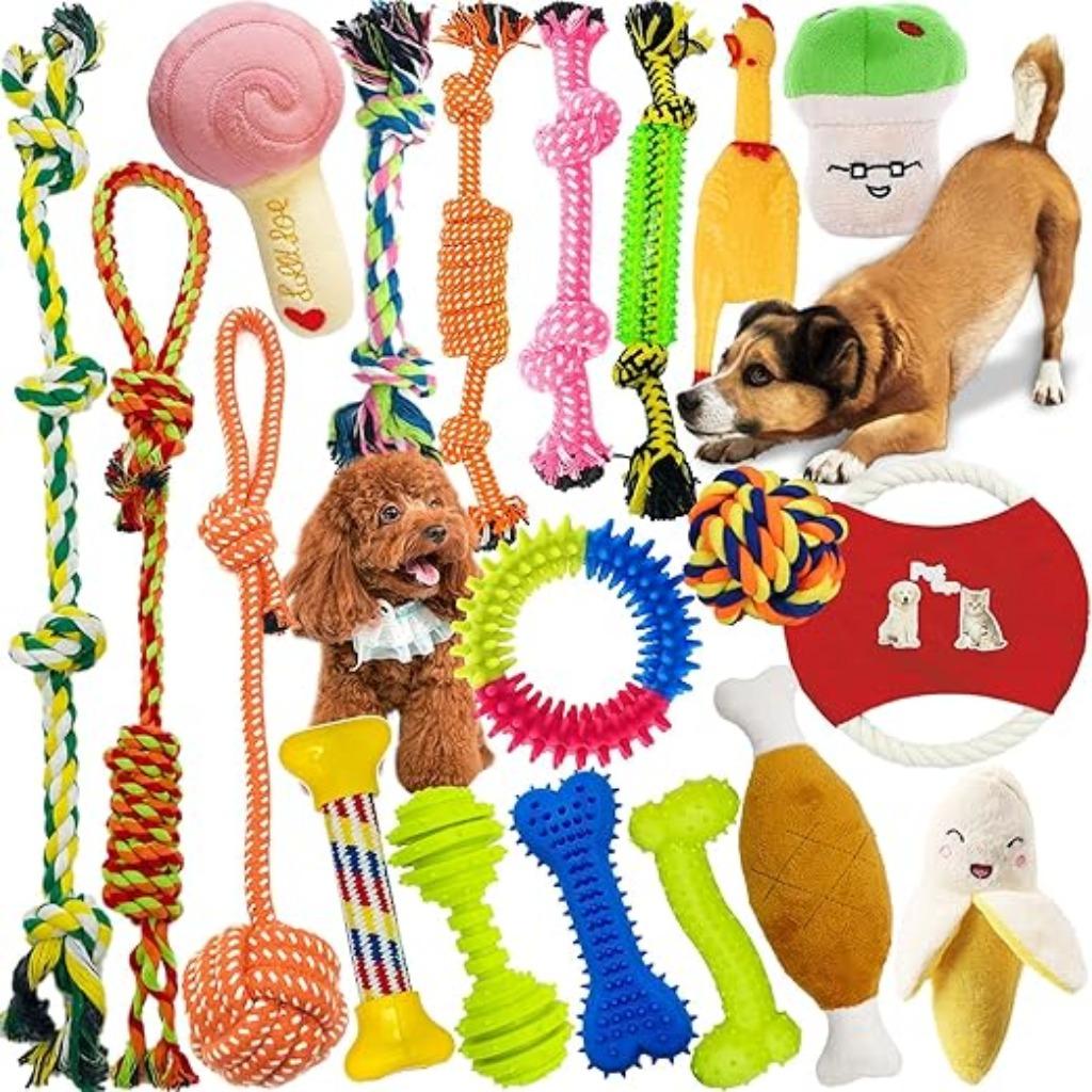 Ensemble de jouets pour chiens 19 pièces LIVRAISON GRATUITE, Animaux & Accessoires, Neuf, -, -, Autres jouets