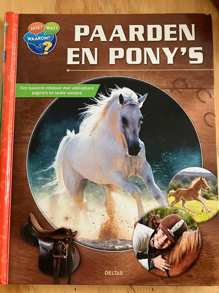 Paarden en pony's, Livres, Livres pour enfants | Jeunesse | Moins de 10 ans, Enlèvement ou Envoi
