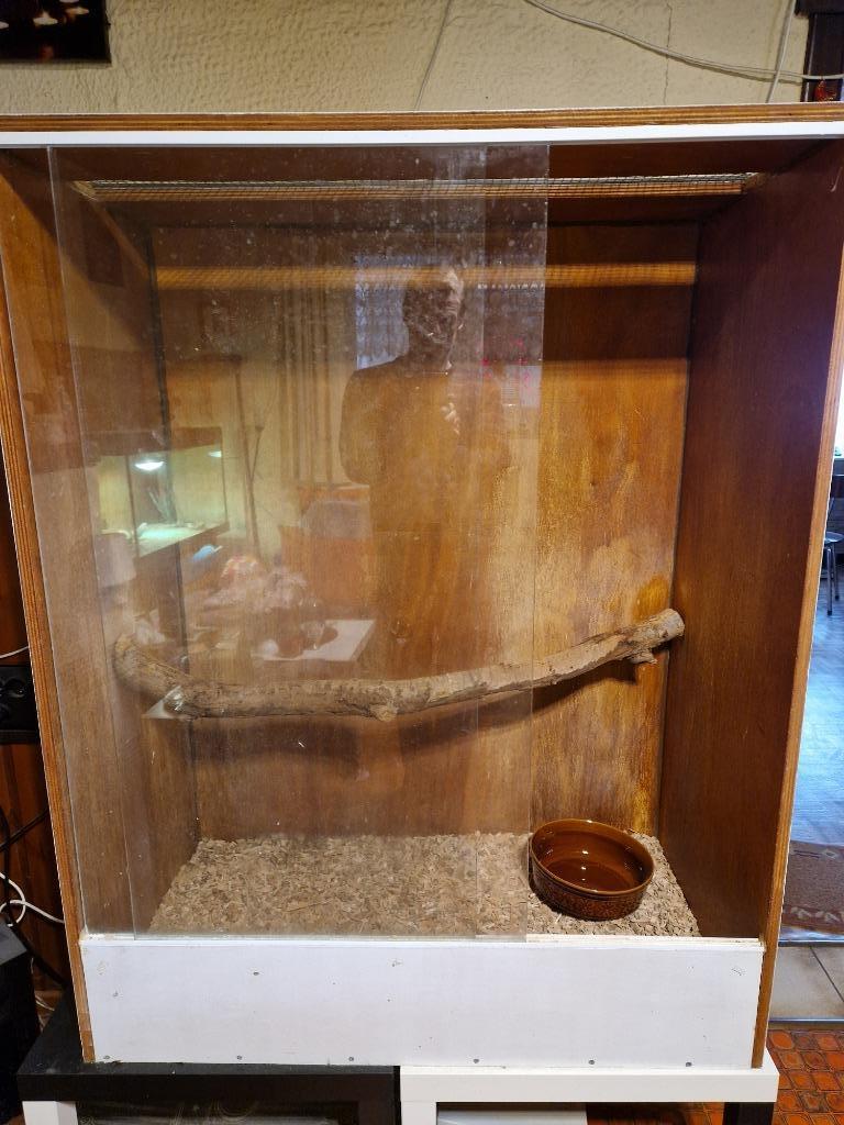 Terrarium in hout met glazen schuifdeuren, Dieren en Toebehoren, Reptielen en Amfibieën | Toebehoren, Gebruikt, Terrarium of Paludarium