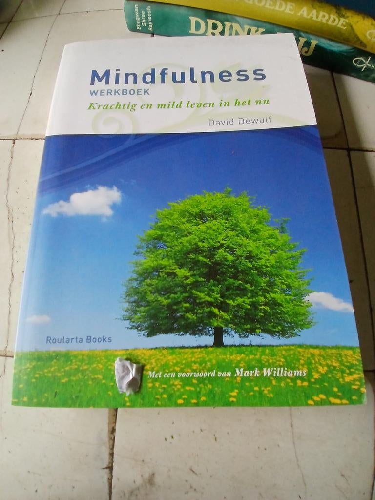 Mindfulness. Krachtig en mild leven in het nu. D. DEWULF, Livres, Psychologie, Psychologie cognitive, Envoi