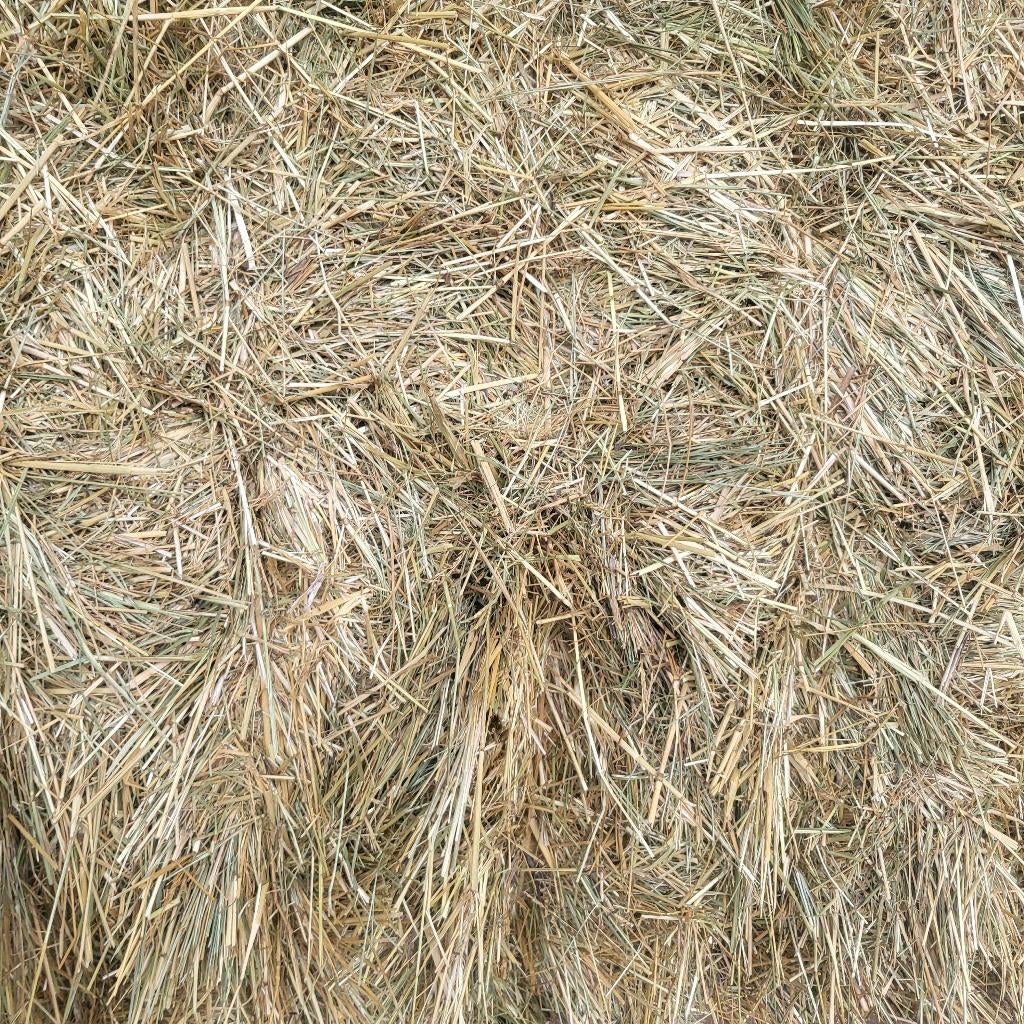 Hooi grote pakken 520kg, Ophalen, Vee