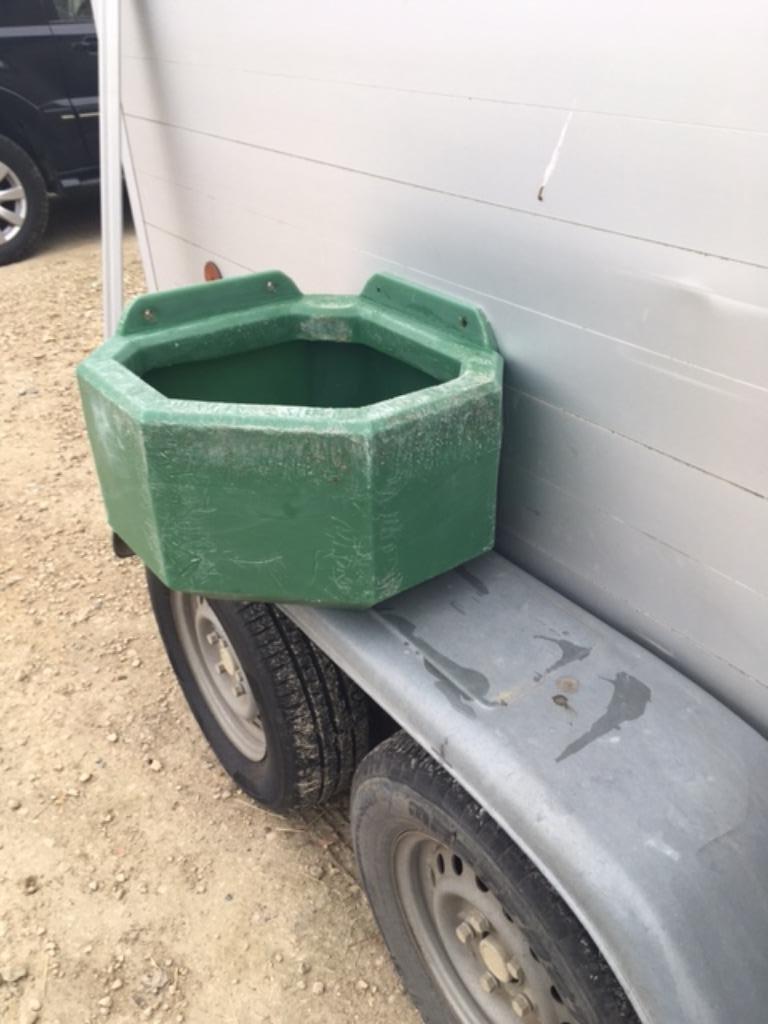te koop : eetbak voor paarden, Mise à l'étable