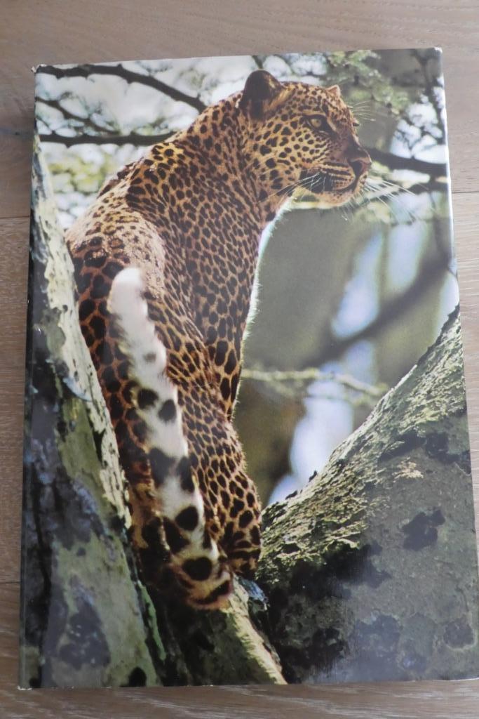 Livre Artis ZOO - AFRIQUE ORIENTAL, Ophalen, Nieuw, ARTIS, Plaatjesalbum