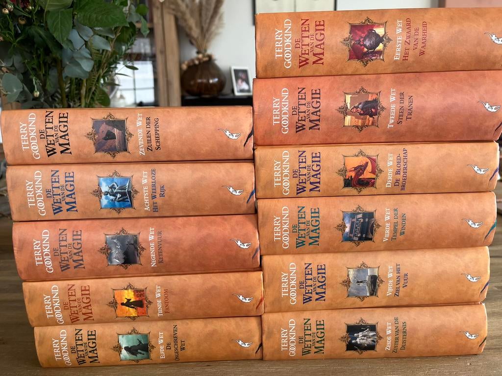 Boekenreeks Wetten van de magie Terry Goodkind, Boeken, Ophalen of Verzenden, Zo goed als nieuw