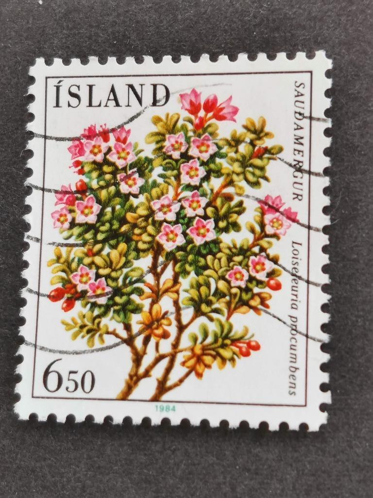 Ijsland 1984 - bloemen - Kruipend rotsroosje, Postzegels en Munten, Postzegels | Europa | Scandinavië, Ophalen of Verzenden, IJsland