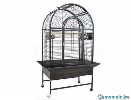 cage perroquet amazone voliere gris gabon  eclectus neuf, Dieren en Toebehoren, Vogels | Toebehoren, Nieuw, Verzenden
