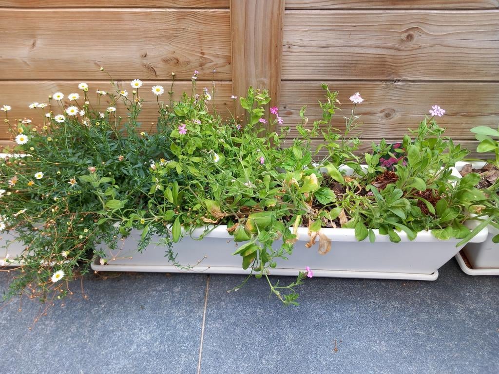 4 bloembakken balkon met onderschaal, Enlèvement, Utilisé, Synthétique, Balcon