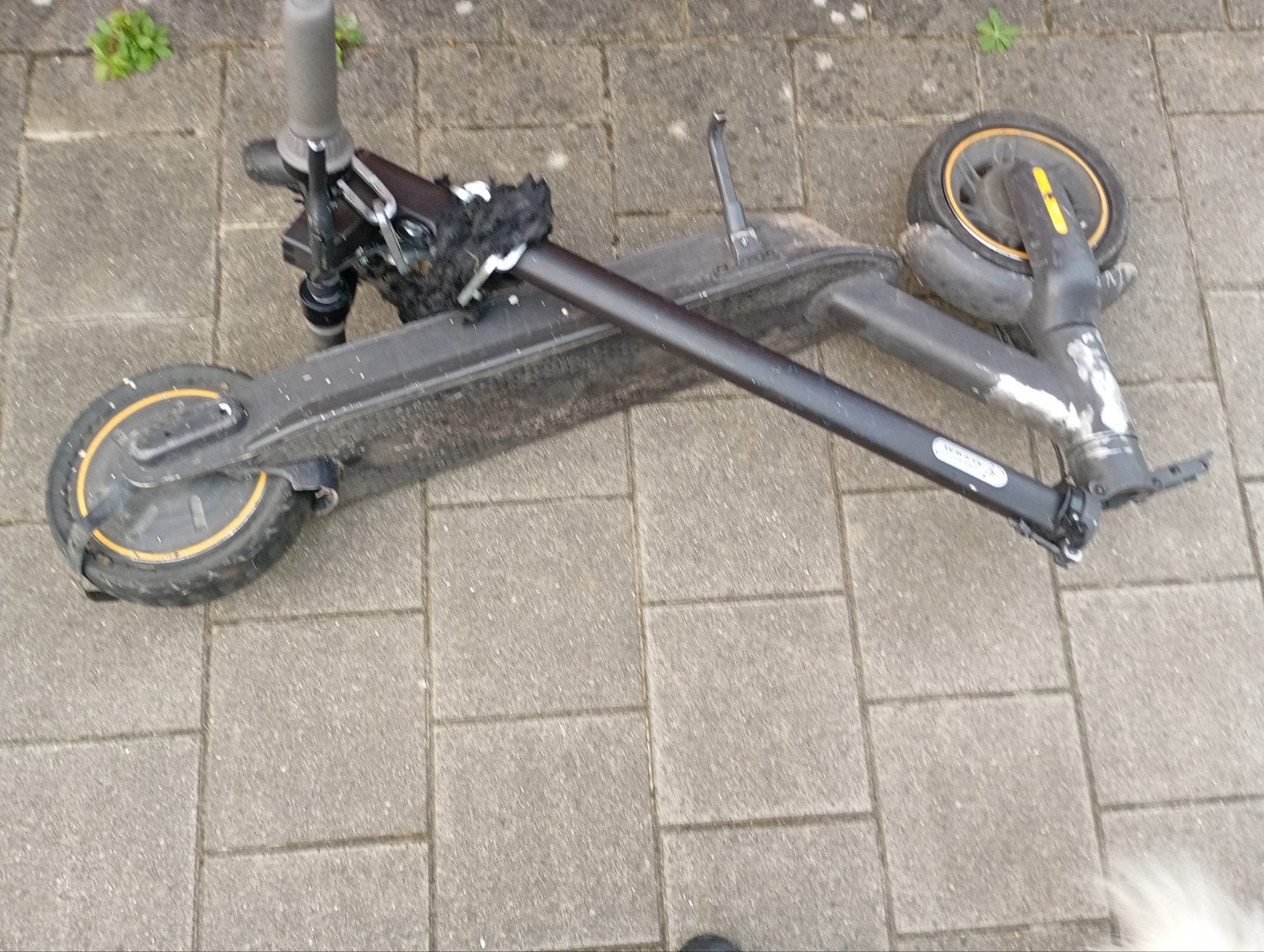 elektrische step, Ophalen, Gebruikt, Elektrische step (E-scooter), Ninebot