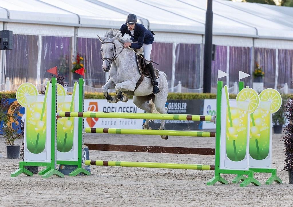 Fokmerrie van Clarimo 1 zoon 1m40 DRAGEND v * Ecclestone *, 11 ans ou plus, M, 165 à 170 cm, Cheval de saut