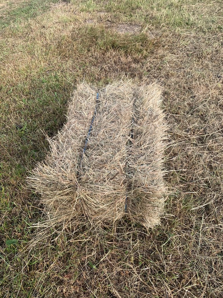 Hooibalen ideaal voor paarden,... (585 stuks), Enlèvement, Autres espèces