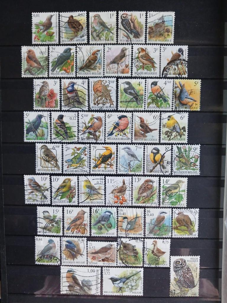 Lot 49 gebruikte postzegels van België Oiseaux Buzin, Frankeerzegel, Ophalen of Verzenden, Gestempeld, Gestempeld