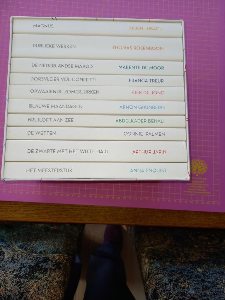 Koffer met 10 romans uit het Nederlandse taalgebied., Ophalen, Zo goed als nieuw, Nederland