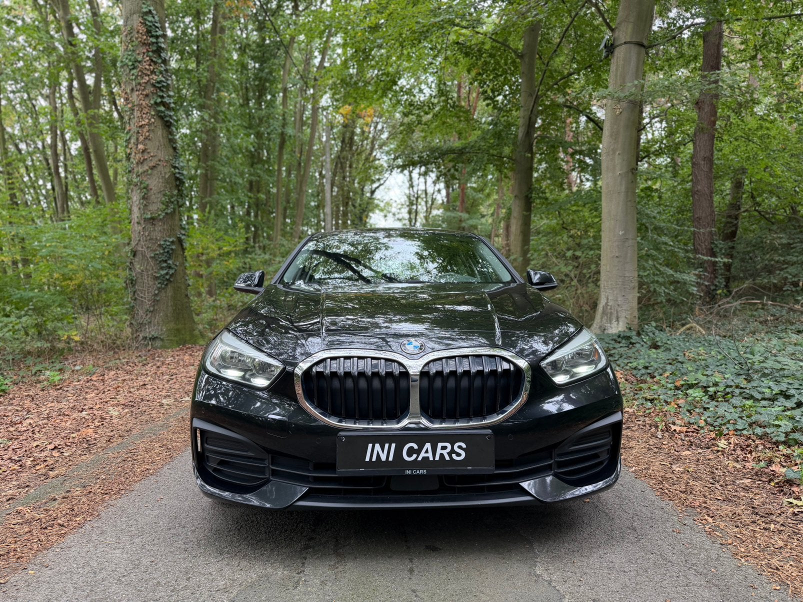 BMW 116d, Auto's, Navigatiesysteem, Euro 6, Zwart, Bedrijf