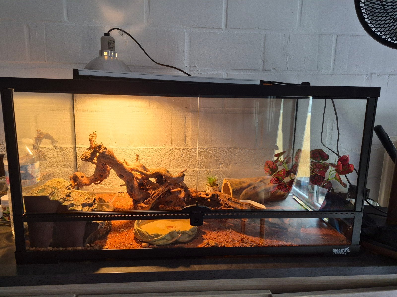 deux terrariums, Animaux & Accessoires, Enlèvement, Comme neuf, Terrarium ou Paludarium