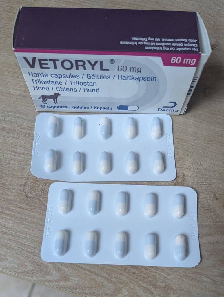 20 pillen Vetoryl 60 mg voor honden, Ophalen of Verzenden