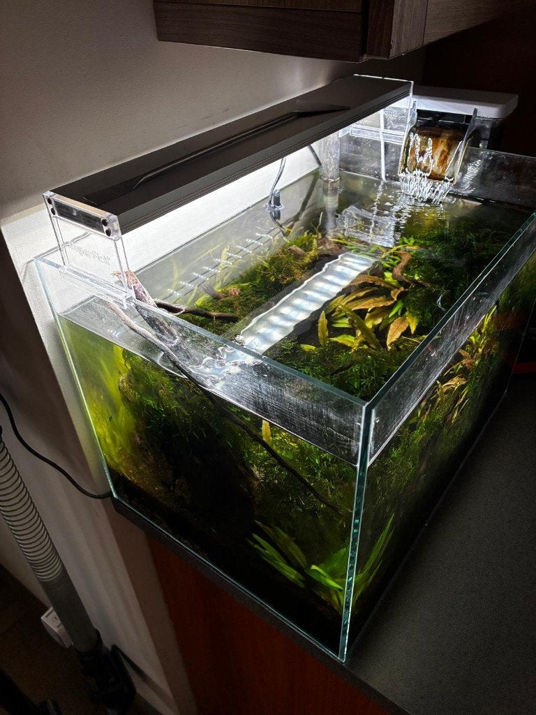 aquarium aquascape 40L volledige setup, Ophalen, Inclusief vissen, Superfish, Gevuld zoetwateraquarium