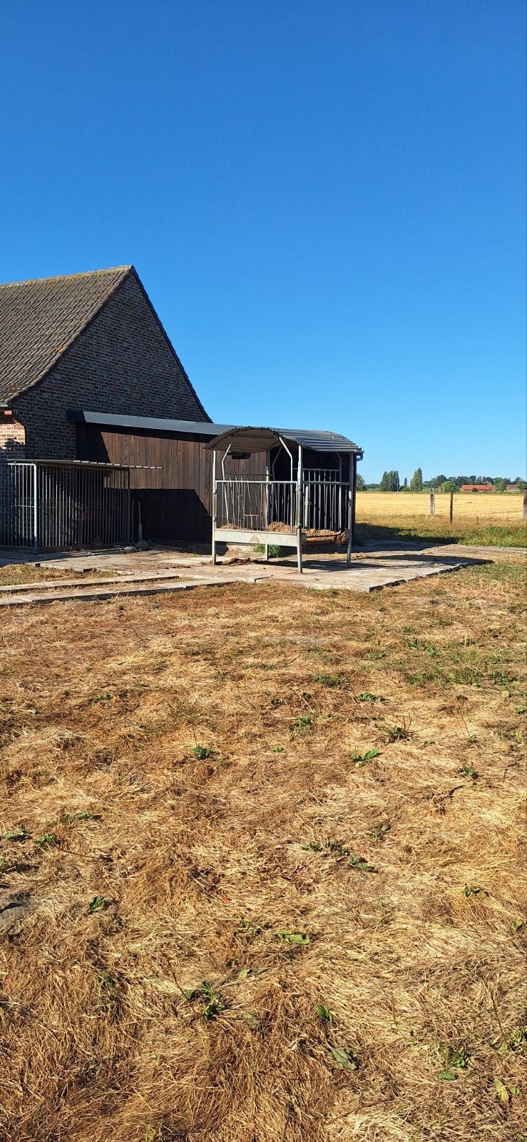 pension vrij te Passebdale 24/24 buiten met schuilhok., Animaux & Accessoires