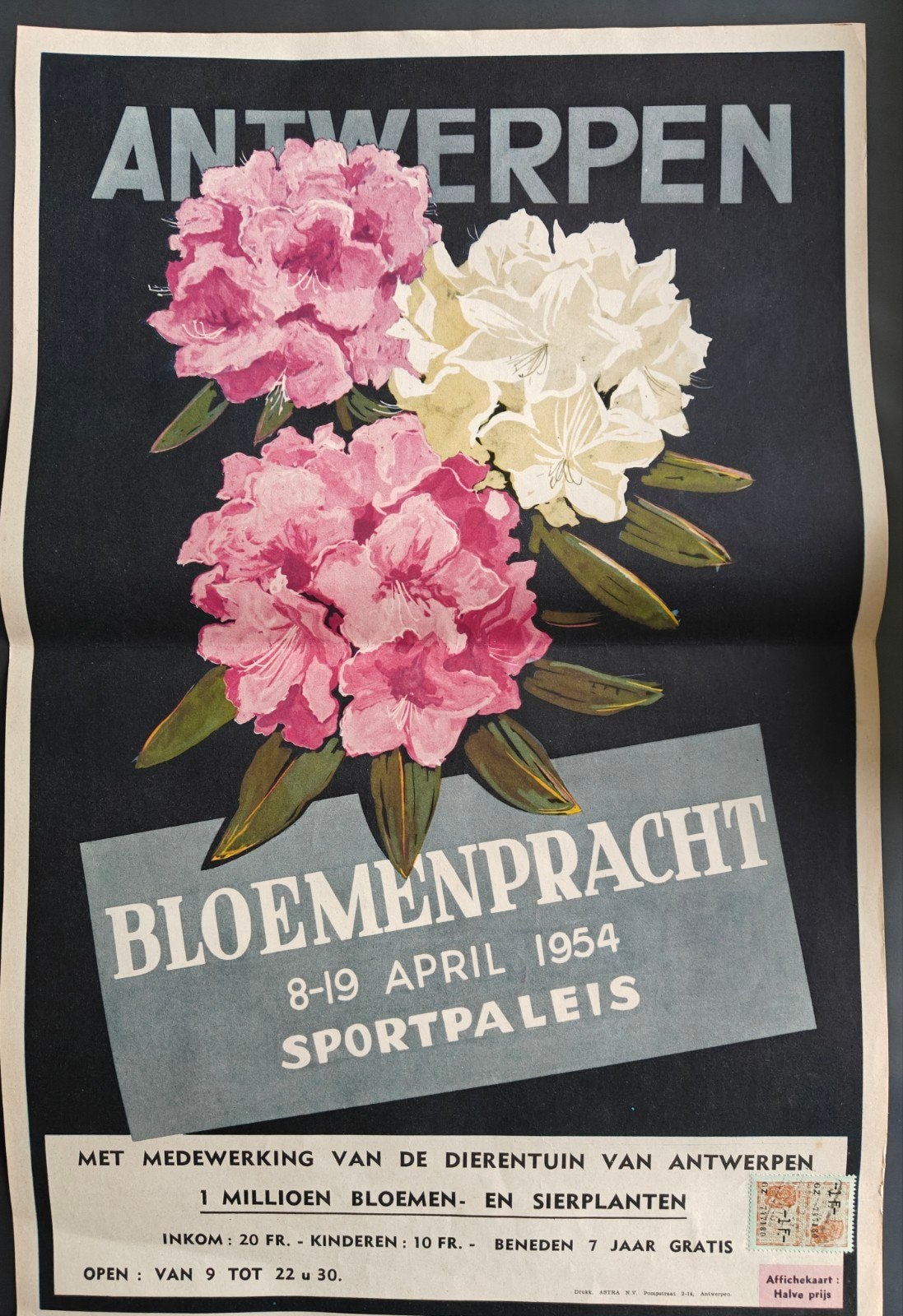 Oude affiche (+-A3) Bloemenpracht Sportpaleis '54, Antwerpen, Verzamelen, Ophalen