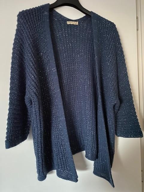 Blauwe subtiele gouddraad, openhangende cardigan, ANDERE, Ophalen of Verzenden, Nieuw, Blauw