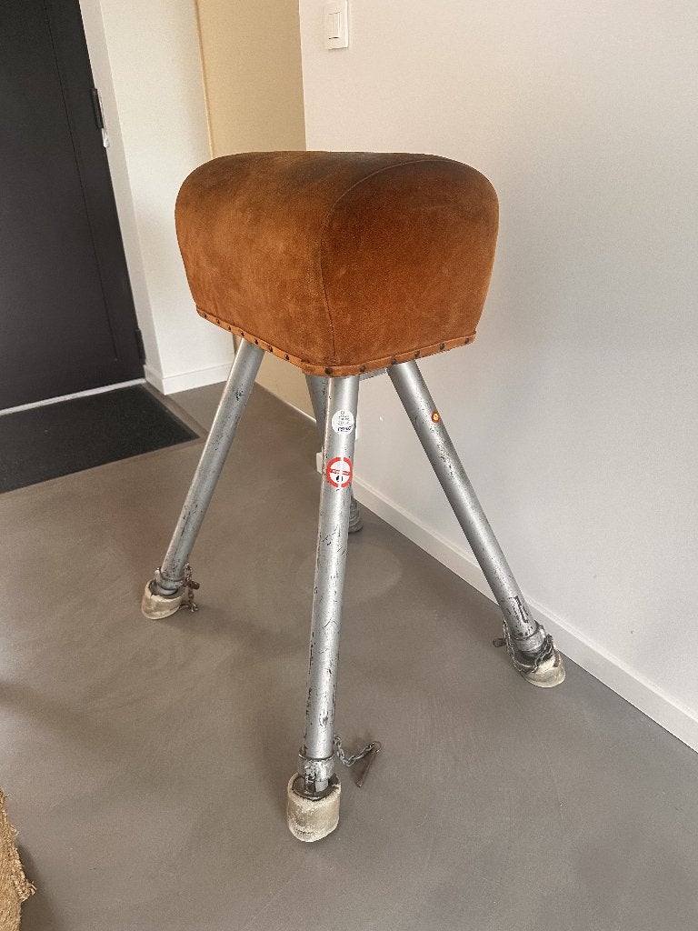 Turnbok Janssen Fritsen, Huis en Inrichting, Woonaccessoires | Overige, Ophalen, Vintage, Gebruikt, Leer