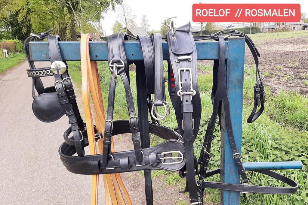 🔴NIEUW ZWART OF BRUIN GOED FULL,COB 1 SP TUIG 360 €  🔴, Enlèvement ou Envoi