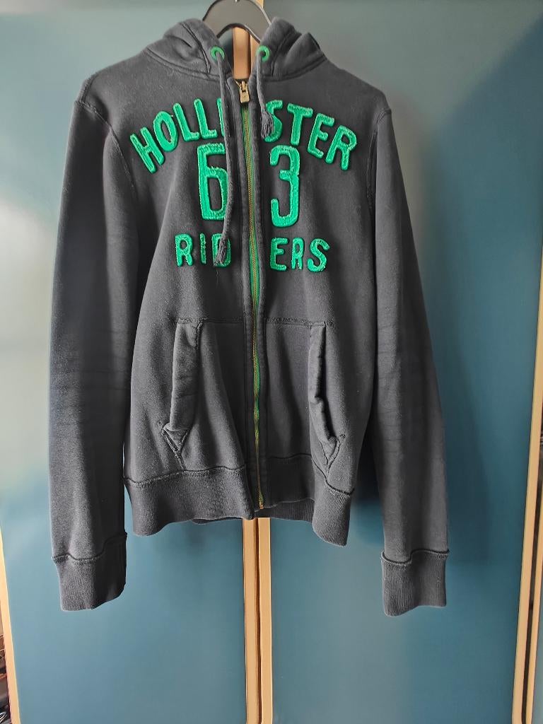 Sweater met rits - Hollister - medium, Ophalen of Verzenden, Gedragen, Hollister, Maat 48/50 (M)