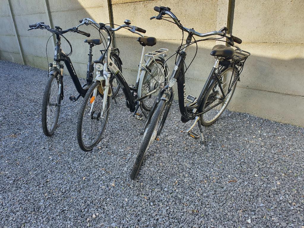 LOT elektrische fiets Flyer & sparta & tounis als zonder, Fietsen en Brommers, Ophalen, Sparta, Gebruikt, 51 tot 55 cm