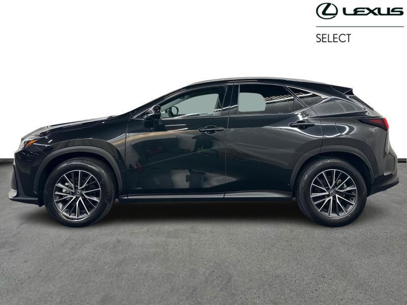 Lexus NX 350h Executive Line + HUD, Auto's, Automaat, 2487 cc, Zwart, 5 deurs