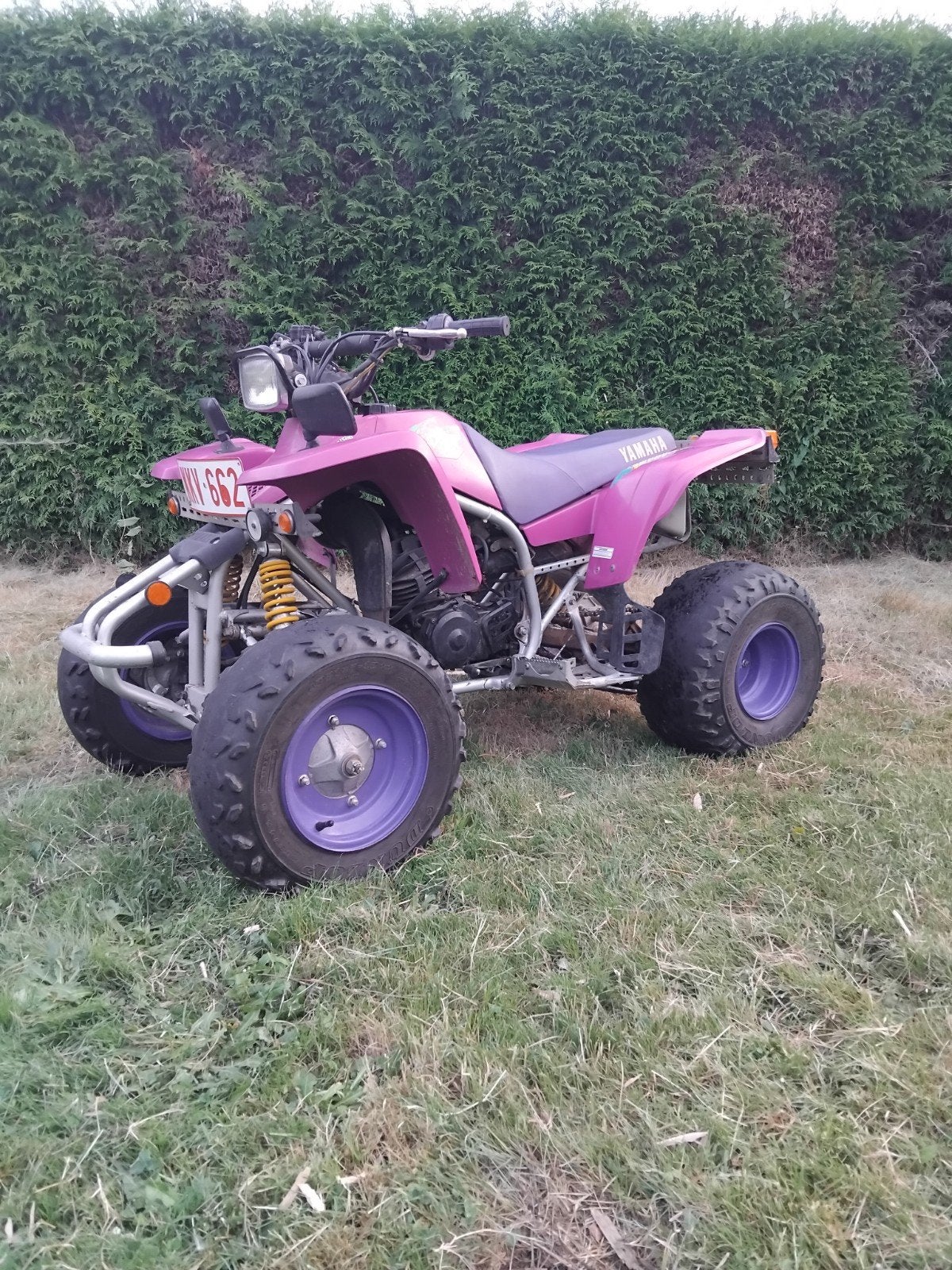 Yamaha Blaster met papieren, Motoren