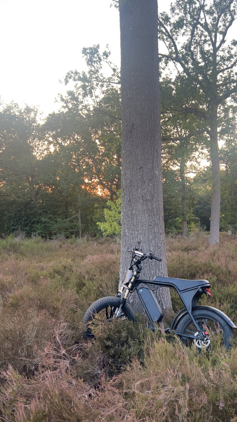 OUXI V8 full build, Ophalen