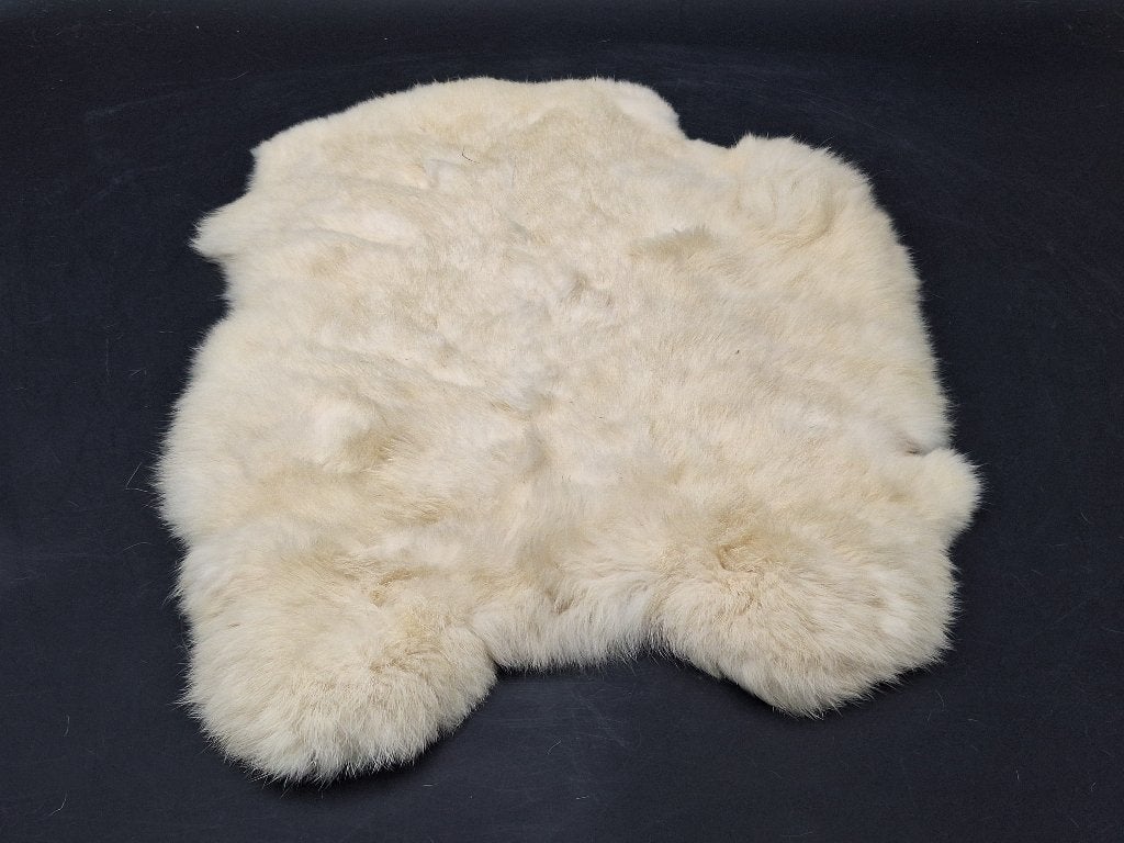 oude witte pels, begin 1900, Enlèvement ou Envoi
