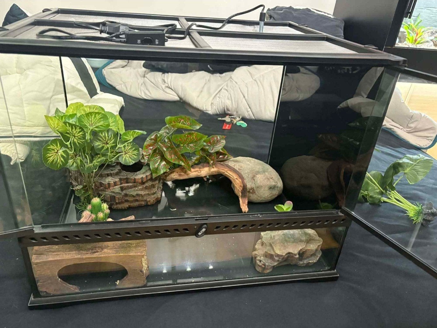 Exo terra 60x45x45, Dieren en Toebehoren, Reptielen en Amfibieën | Toebehoren, Ophalen