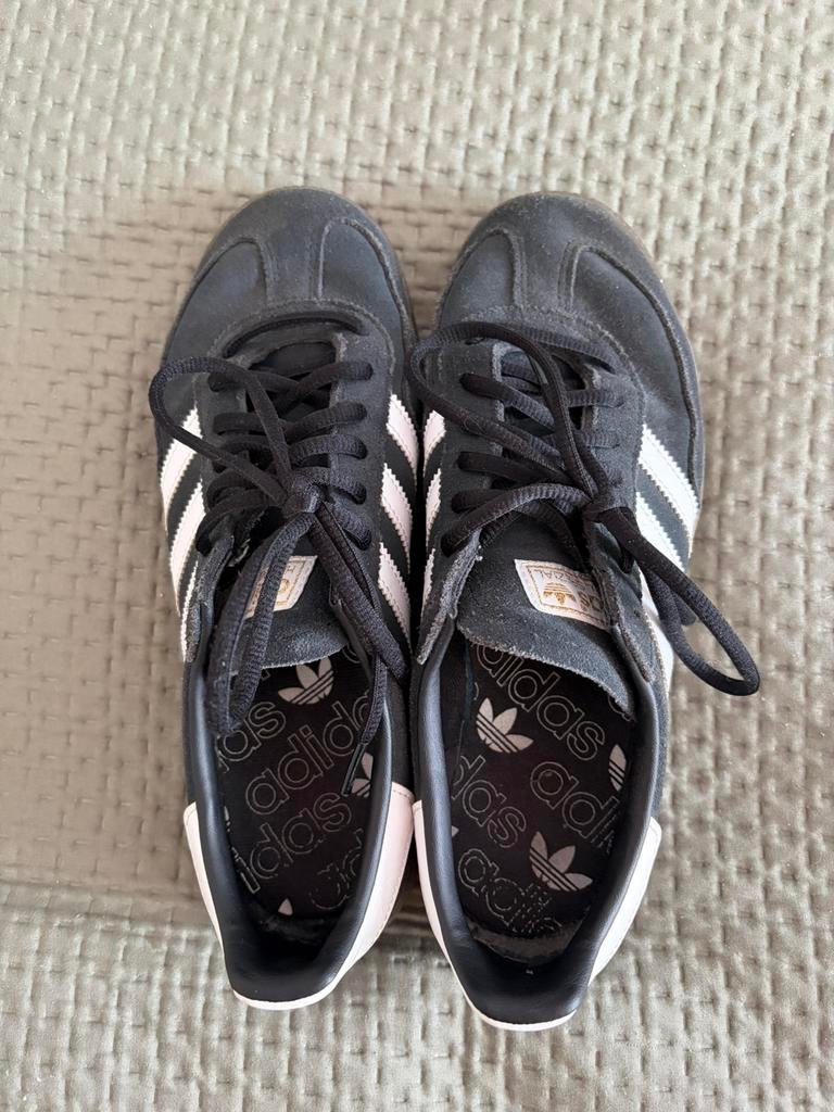 Adidas | Spezial, Enlèvement ou Envoi, Porté, Autres couleurs, Baskets