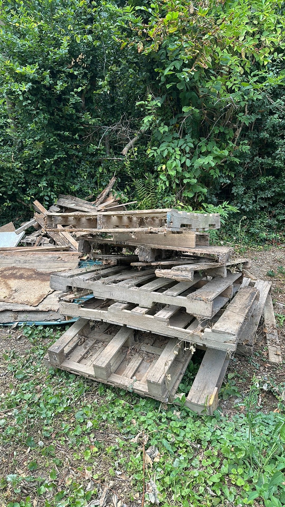 GRATUIT - bois de palette, Tuin en Terras, Brandhout, Minder dan 3 m³, Ophalen, Overige houtsoorten, Blokken
