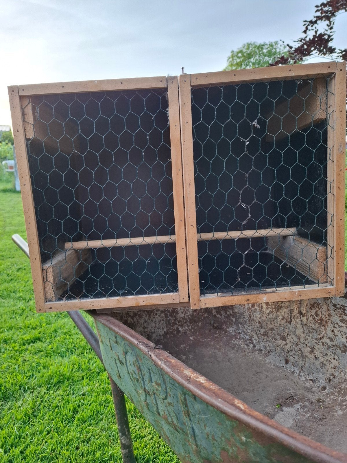 Cage pour volaille,  oiseau , pigeon, Animaux & Accessoires, Enlèvement