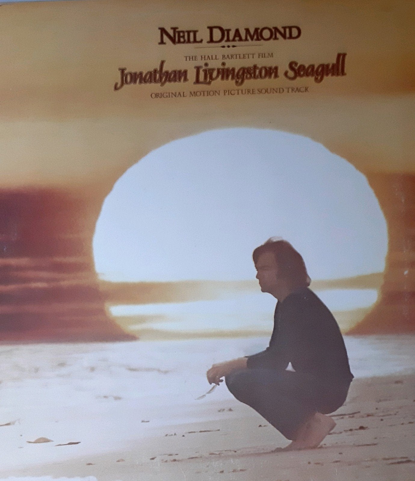vinyl, ALBUM NEIL DIAMOND, JONATHAN LIVINGSTON SEAGULL, Enlèvement ou Envoi, Utilisé