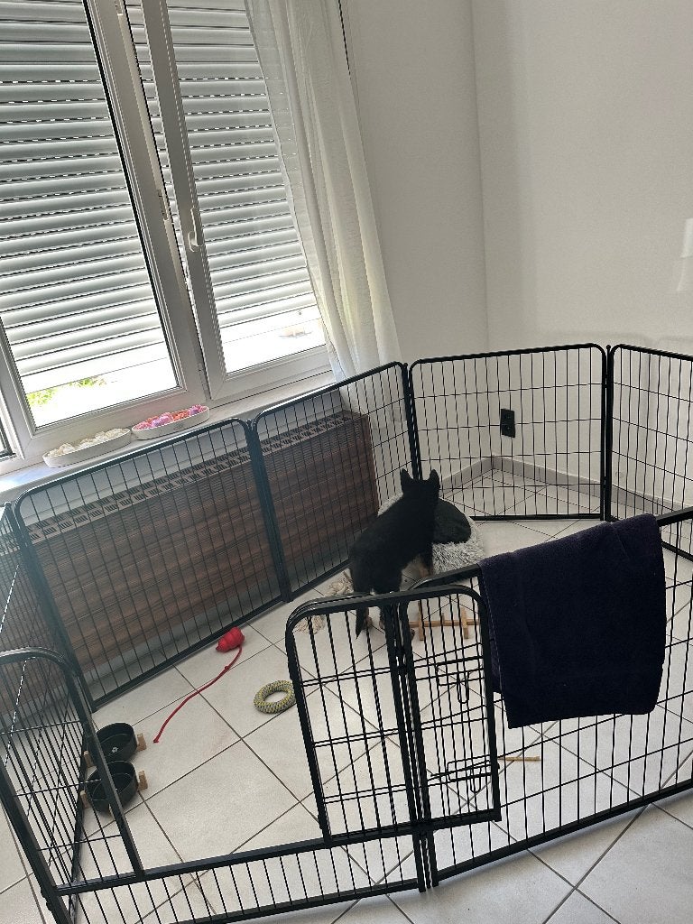 Playpen chien, Ophalen, Zo goed als nieuw, 110 cm of meer, 65 tot 100 cm