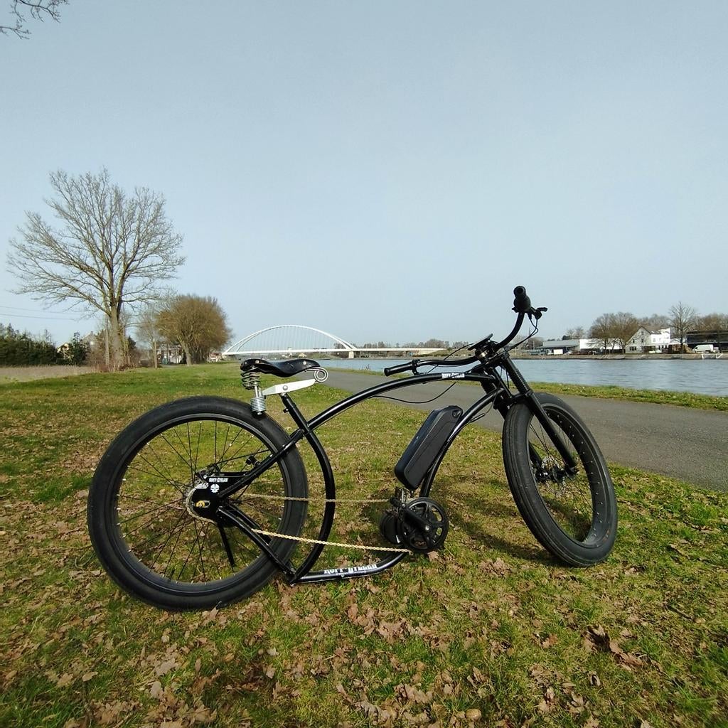 Ruff electric cycle, Fietsen en Brommers, Ophalen