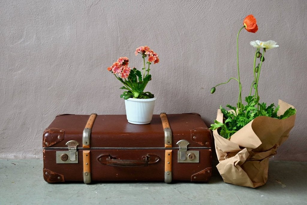 Valise vintage années 1940 arceaux bois et carton, Enlèvement, Utilisé