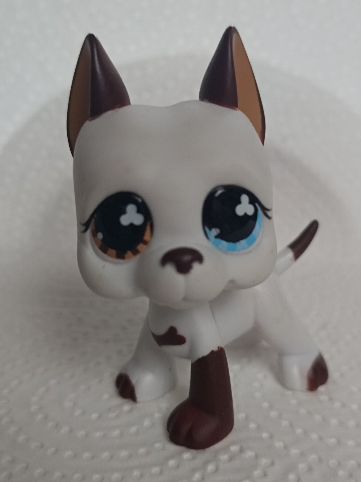 Hasbro littlest Pet Shop #577, Enlèvement ou Envoi