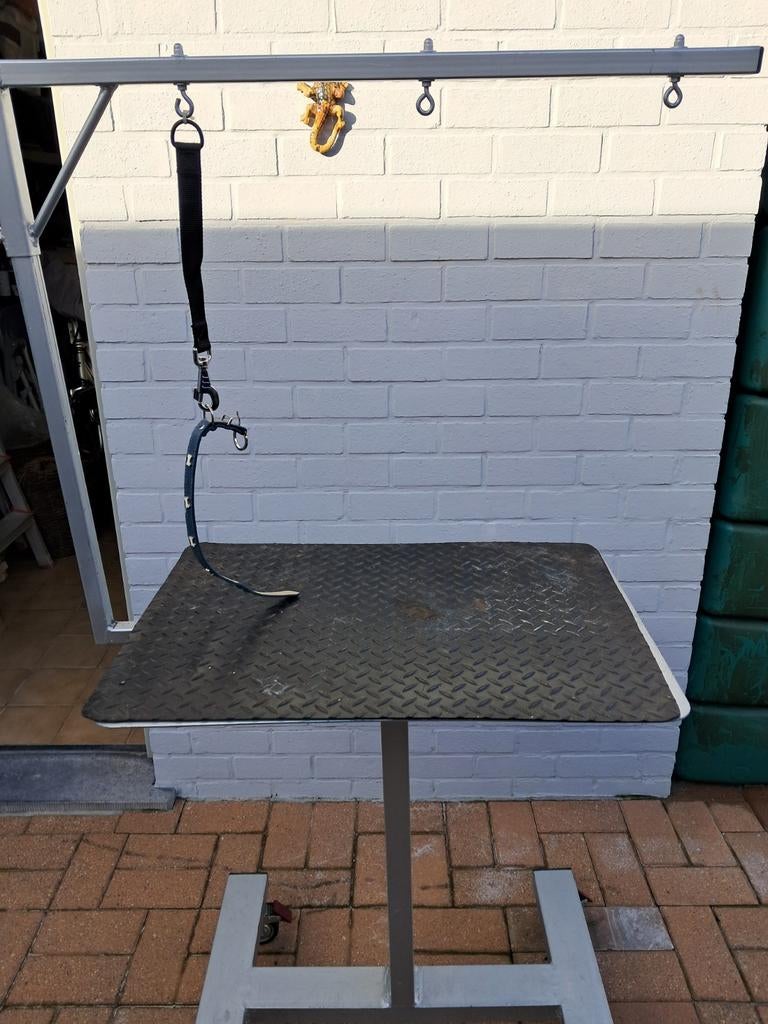 Trimtafel voo kleine hond, Ophalen