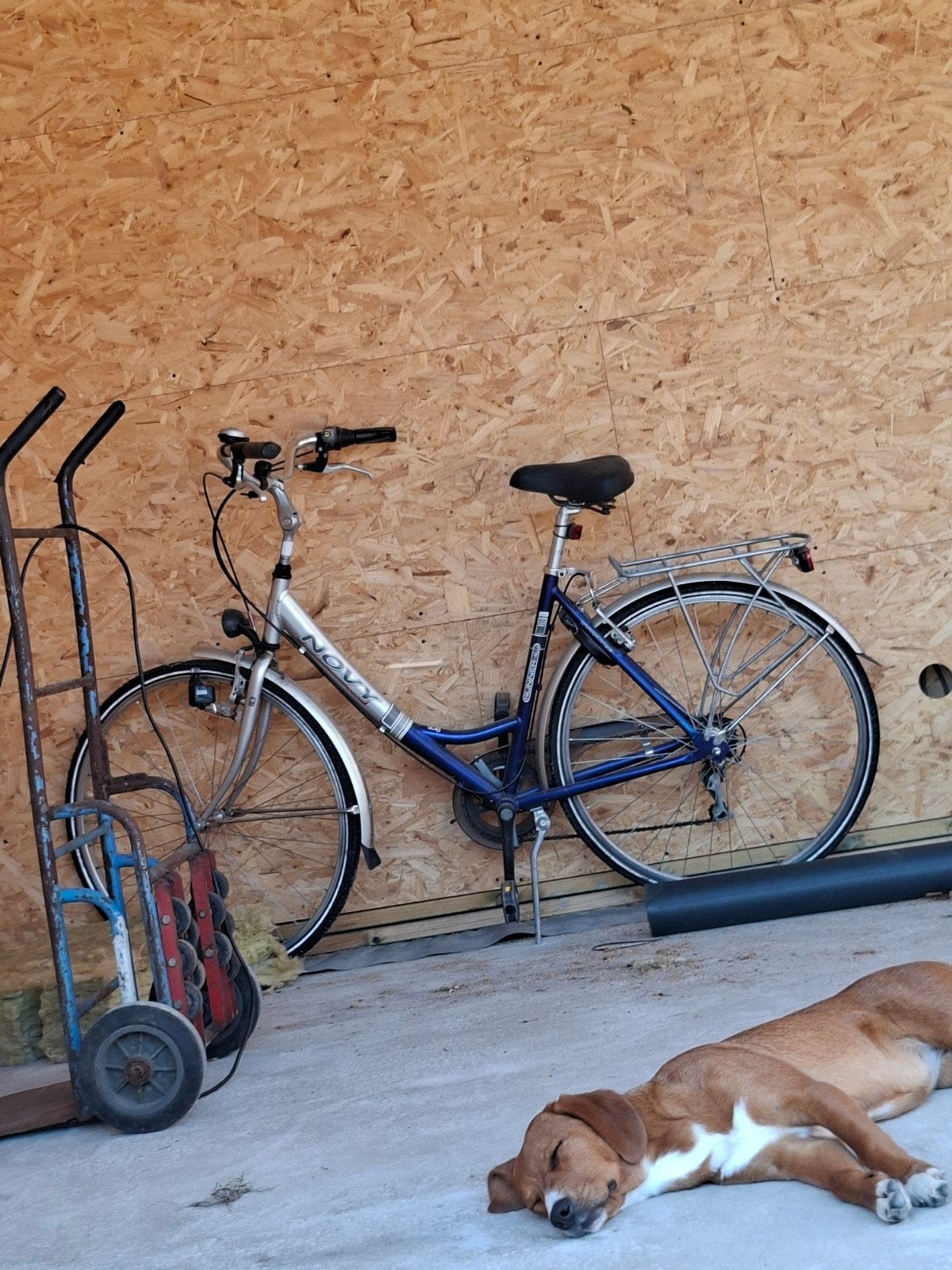 Damesfiets, Enlèvement