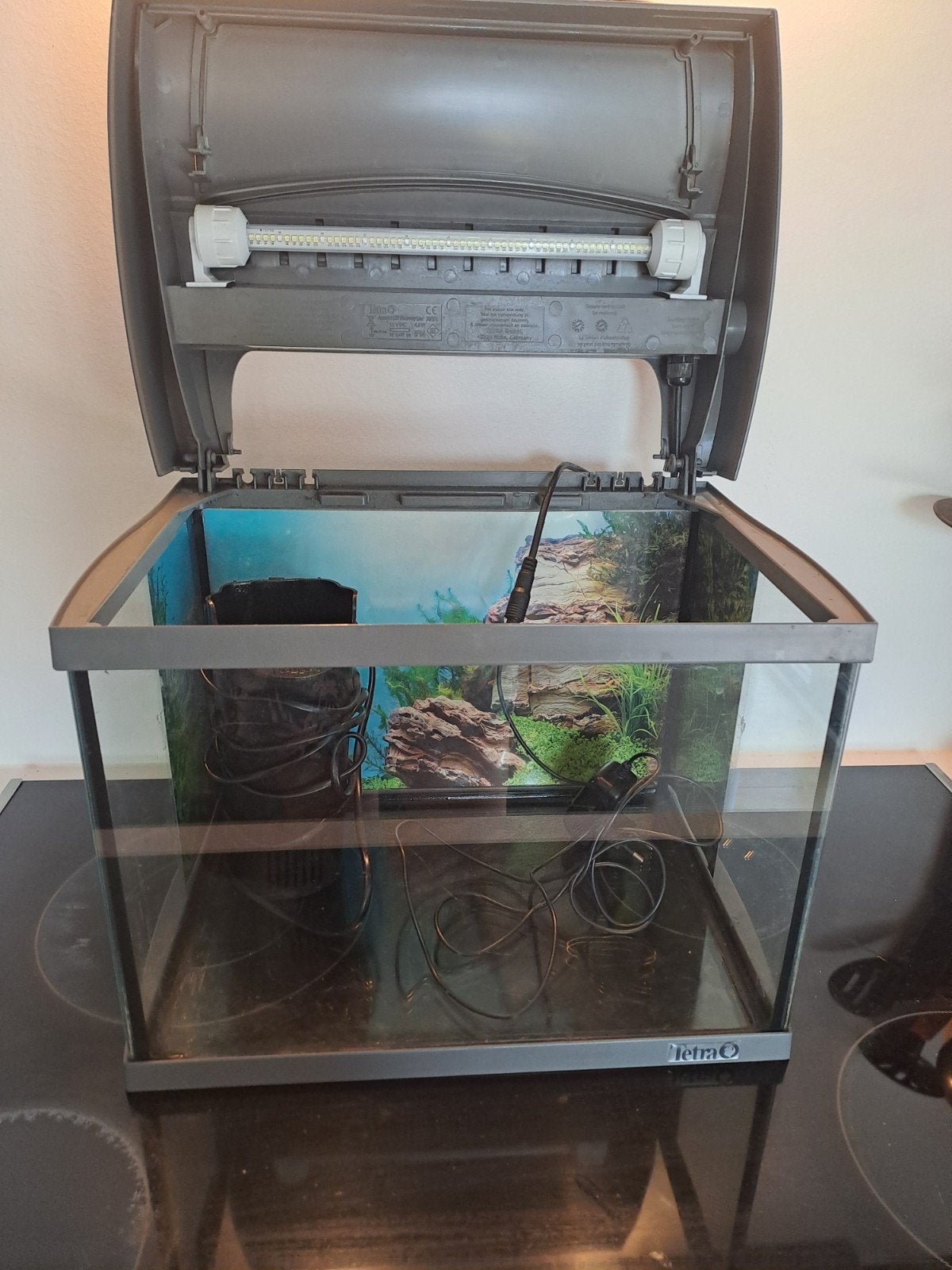 kleine aquarium, Ophalen
