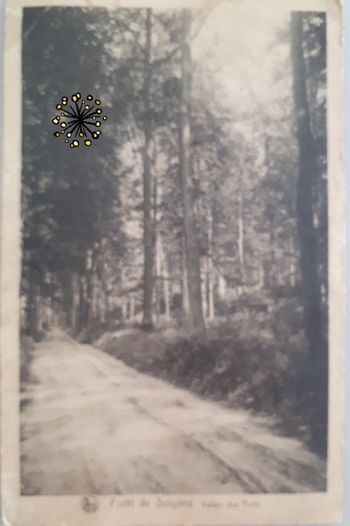 Oude Postkaart SOIGNIES Vallon des Puits 1937 Ref.E66, Ophalen of Verzenden, 1920 tot 1940, Gelopen, Henegouwen